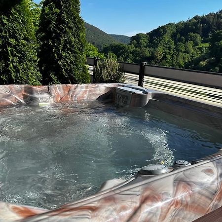Wellness Fewo Szymecki Schonau  Buitenkant foto